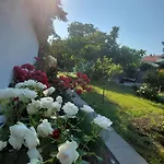 Ct